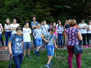 image205